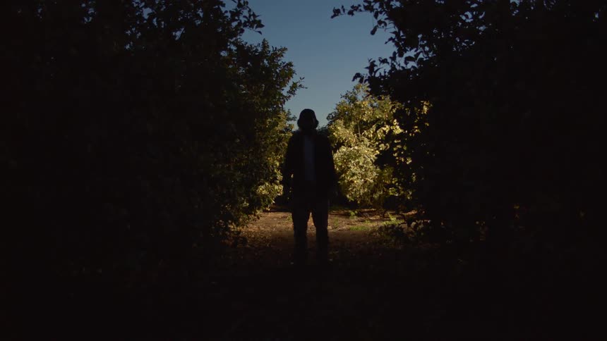 Headlights shine on a man standing still in an orchard