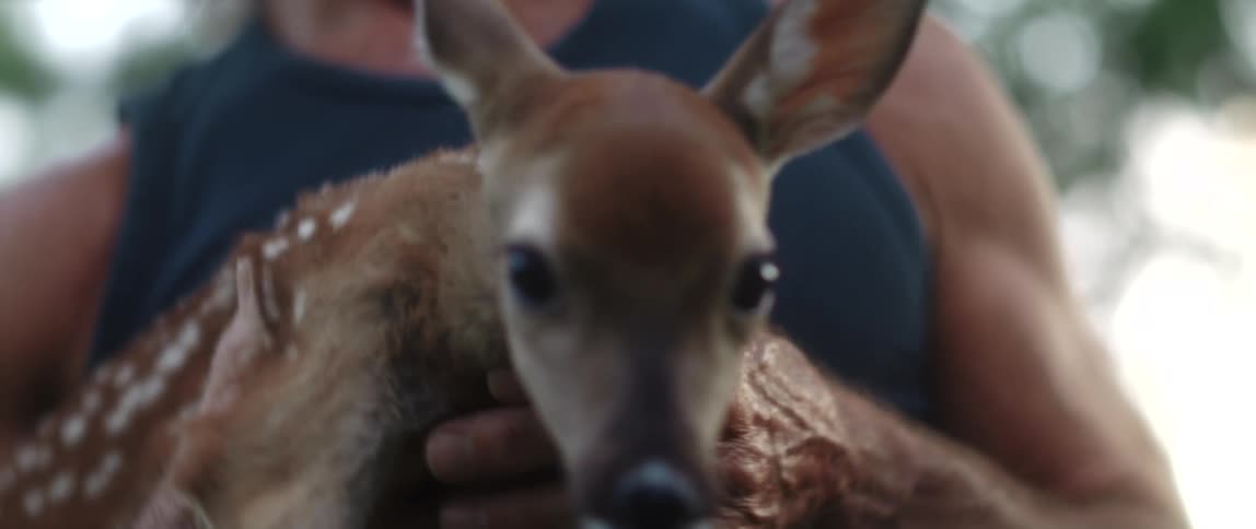 Older man wearing tank top holds fawn in his hands