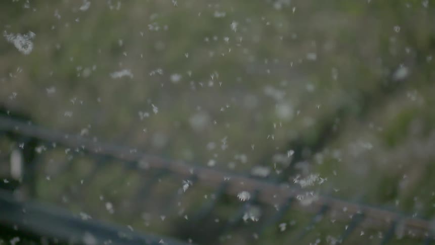 Plant material flying in the air during harvest