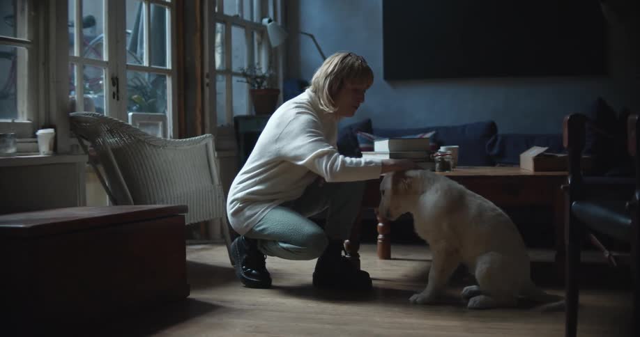 A woman kneeling down in a living room teaching her dog tricks with treats
