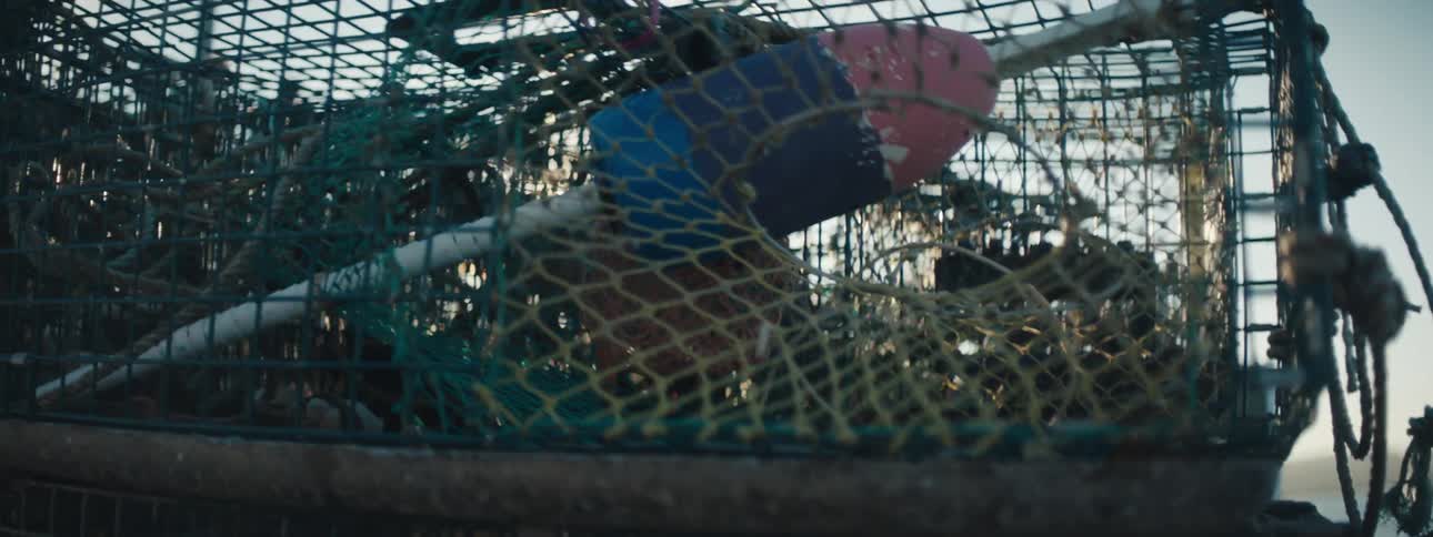 A view of nets and cages outdoors
