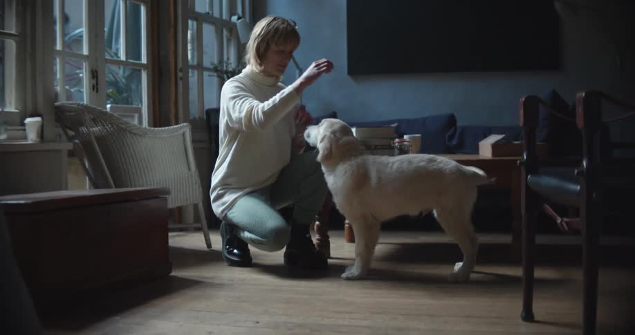 A woman holds up a treat as she tries to train her dog to sit and shake