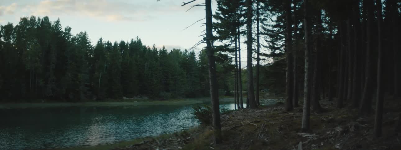 Still lake by the forest and highway at dusk