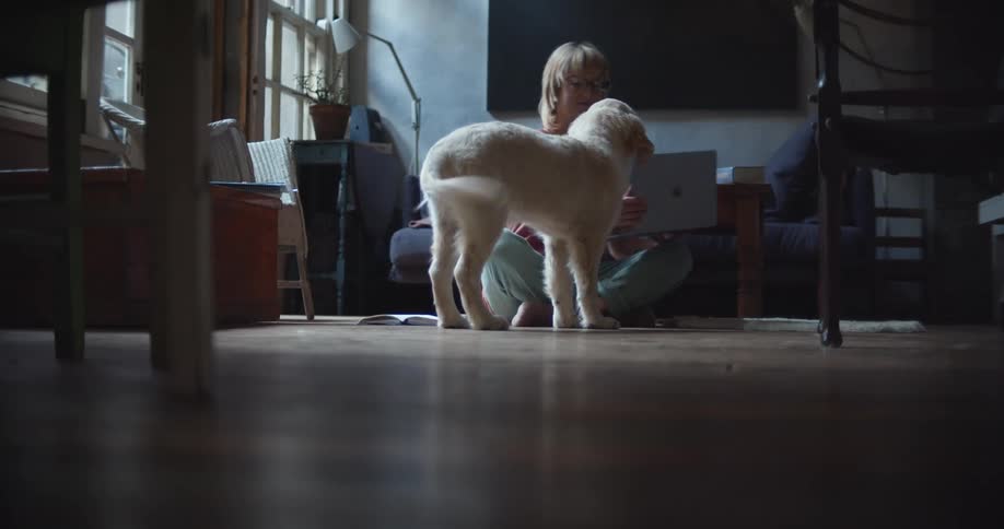 Woman working from home petting her dog in the living room