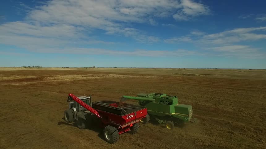 Two farm tractors are parked in a field