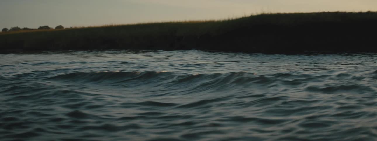 Waves caused from a boat wake roll towards a grassy shore