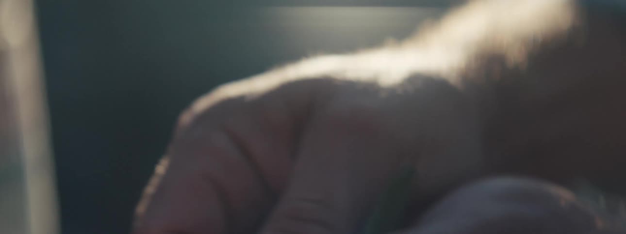 Man crush leaves together in his hand before smelling them
