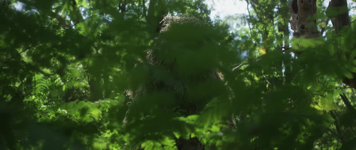 Human in ghillie suit
