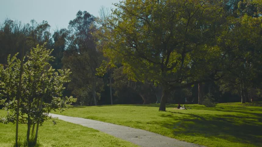 A person resting over the green grass under the trees in the park at daytime