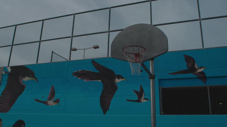 A basketball hoop in front of a bird mural on an outdoor court