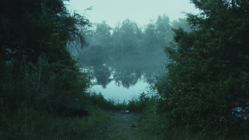 A lake surrounded with plants and trees with the sky and clouds in the background