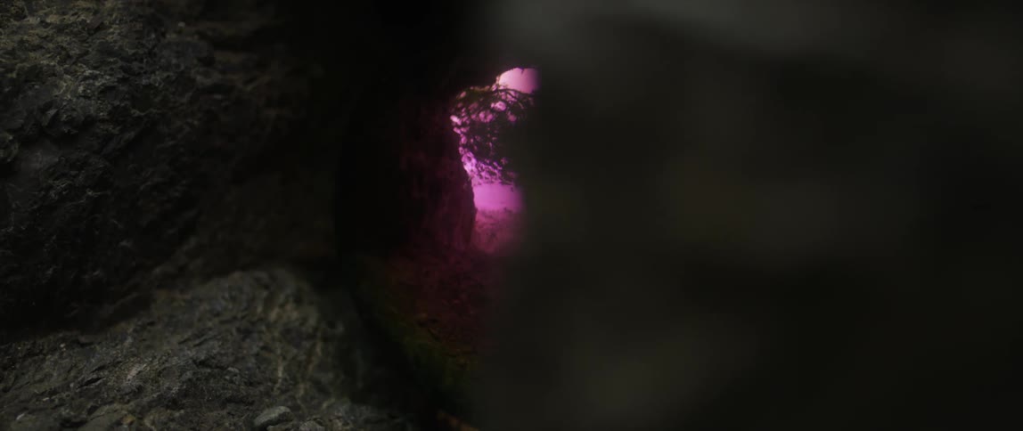 Light from the sun is shining into a cave