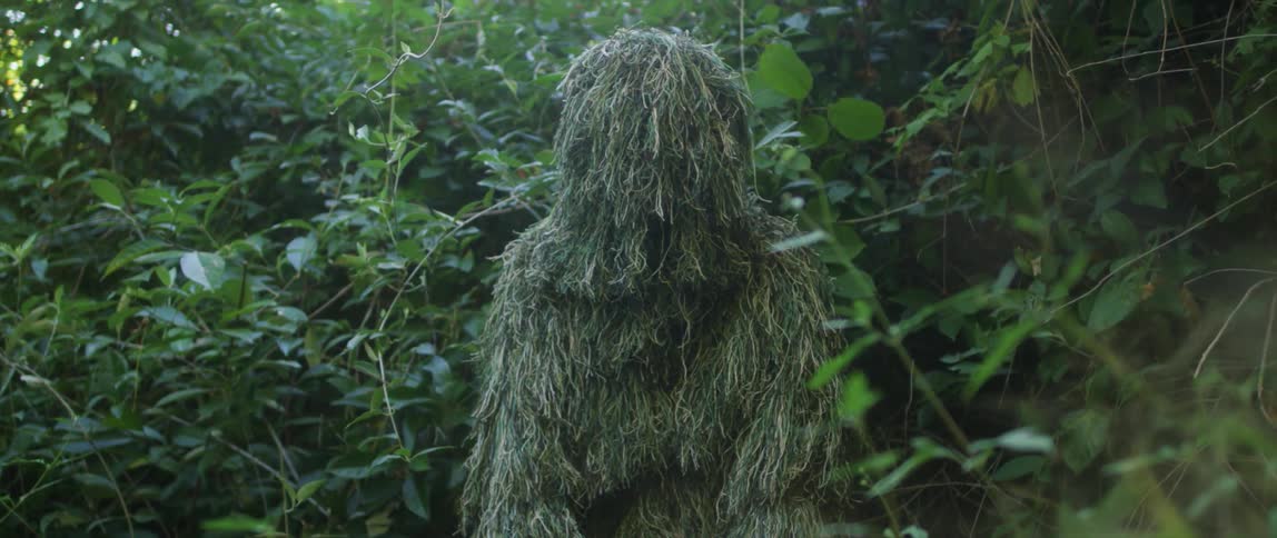 A forest with what appears to be a grass monster