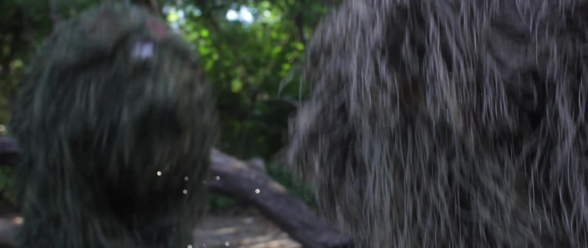 Two people in a ghillie suit dancing with trees the sky and clouds in the background