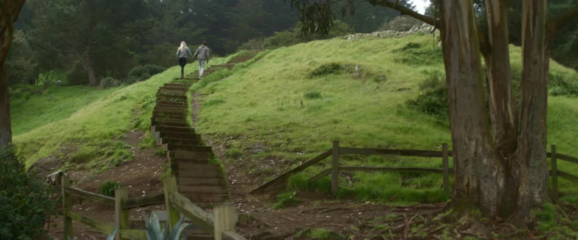 A couple ascending a hillside stairway