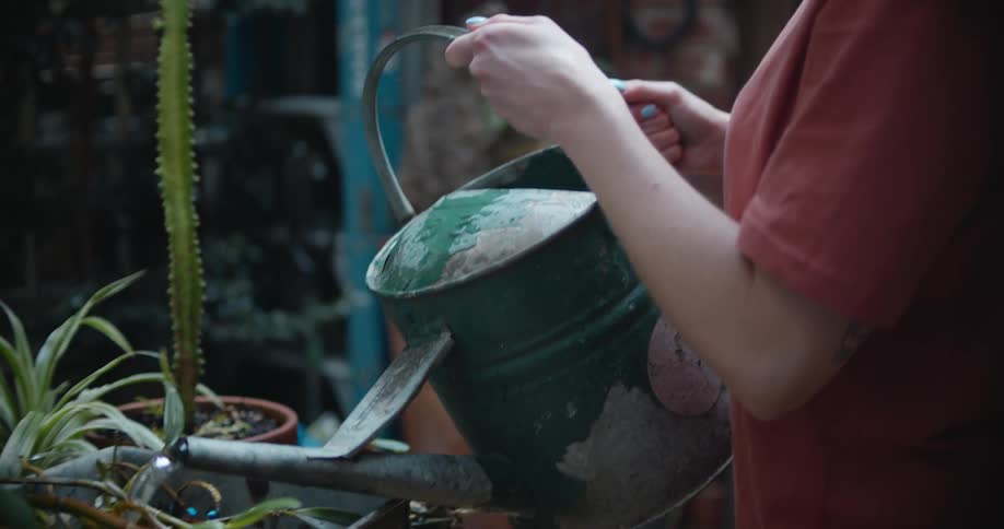 A woman waters potted plants on a table in her yard