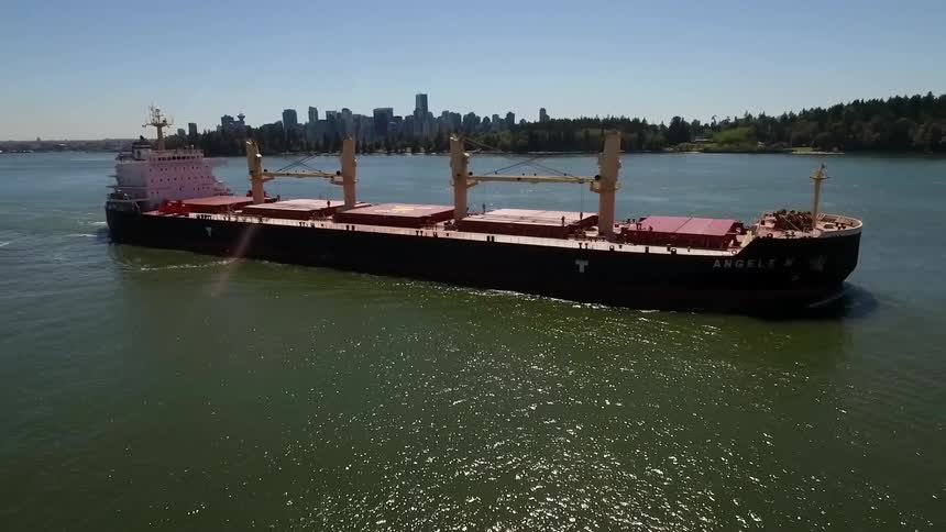 A ship floats down a river on a sunny day