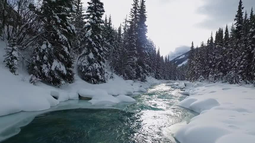 A stream rushing through snowy tree covered land