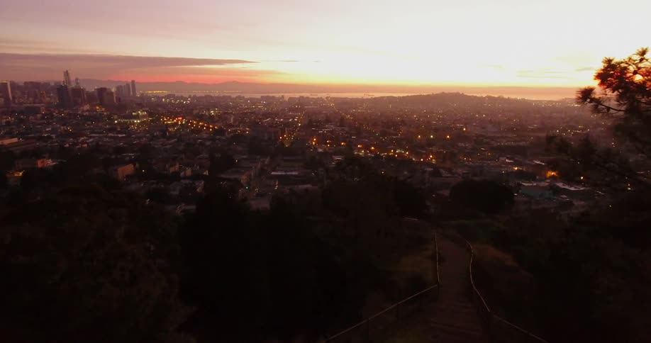 A large city spreads out beyond the trees at dusk