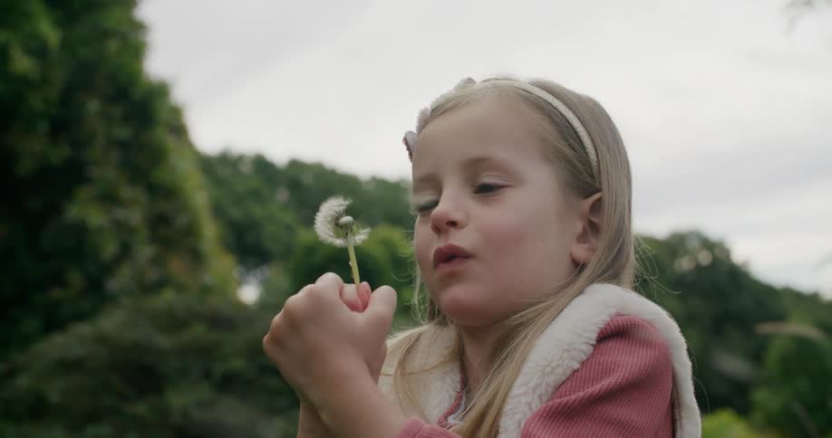 A little girls blows on a dandelion that has gone to seed