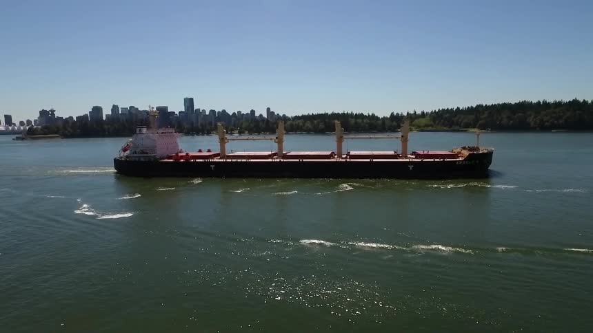 A large cargo boat in a river near a city in the day