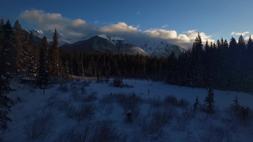 Snow covers the ground near a forest and mountain in the morning
