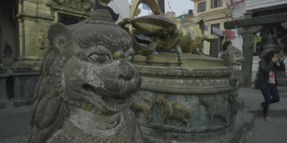 Close up of a statue of an animal