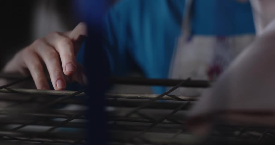 A woman in a room with an apron removing a sheet from a cage