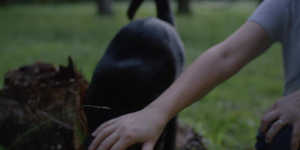 A woman holding a girl and petting a cat with trees the sky and clouds in the background