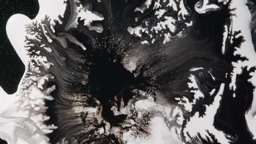 Black in spreads blending with white forming branches