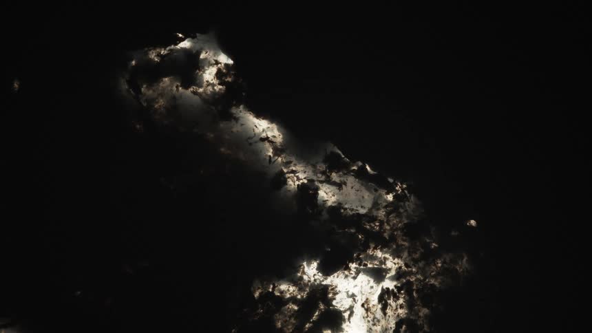 A view of debris floating on water viewed from under water
