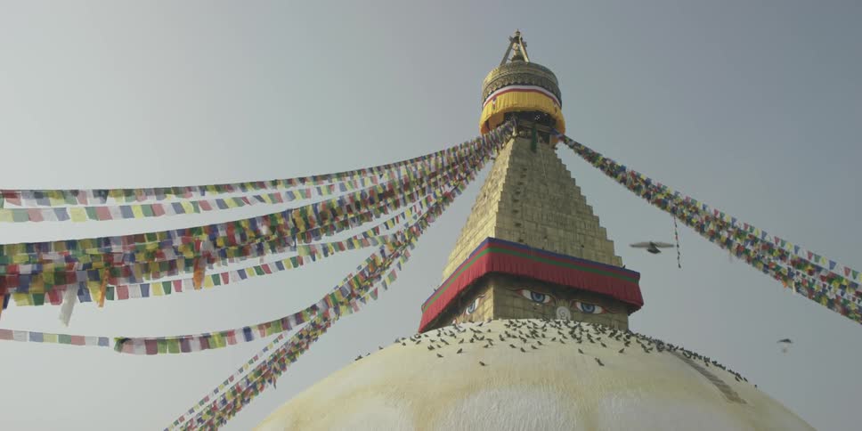 Birds flying around and sitting on a decorative top of a building with colorful streamers coming down