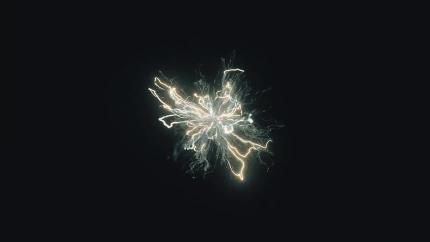 Fireworks explode in the night sky