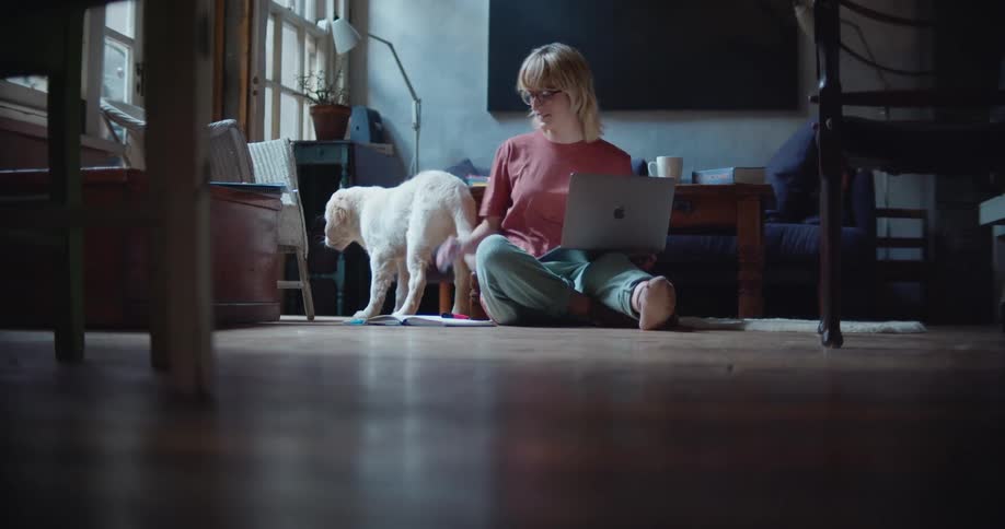 Woman sits on the floor with a laptop then pets a dog that runs over to her
