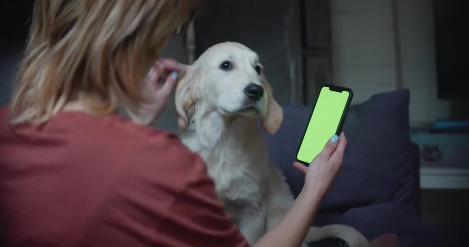 A woman in a room sitting on a couch petting a dog and looking at a smart phone