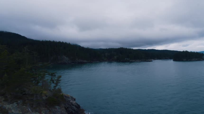 Forest sits on the side of a mountain near the ocean under a cloudy sky