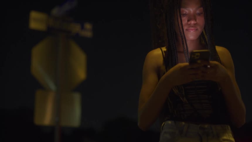 A woman is using her phone on the grass by the street