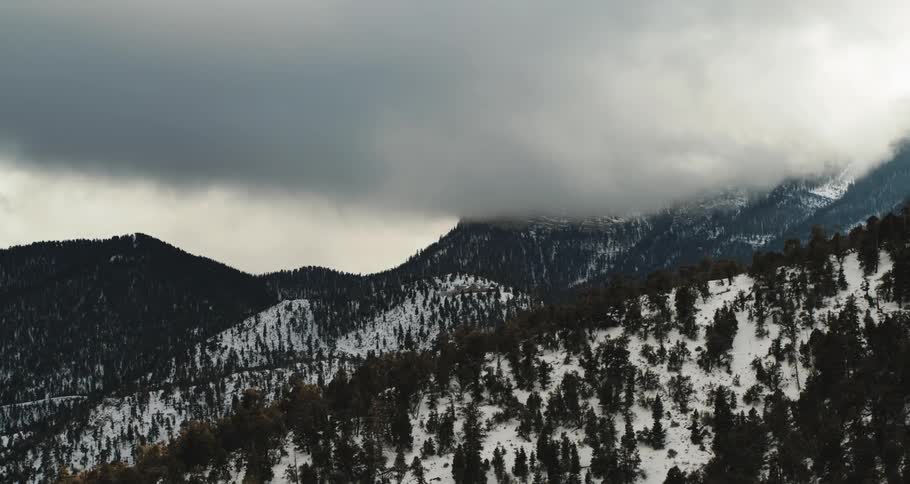 A large range of mountains are covered in snow and lined with numerous evergreen trees