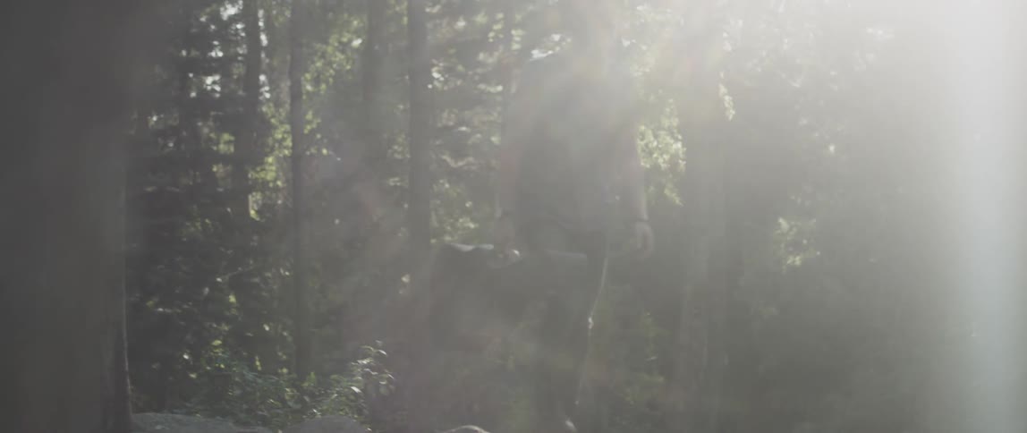 A man carrying a guitar case walks through the woods