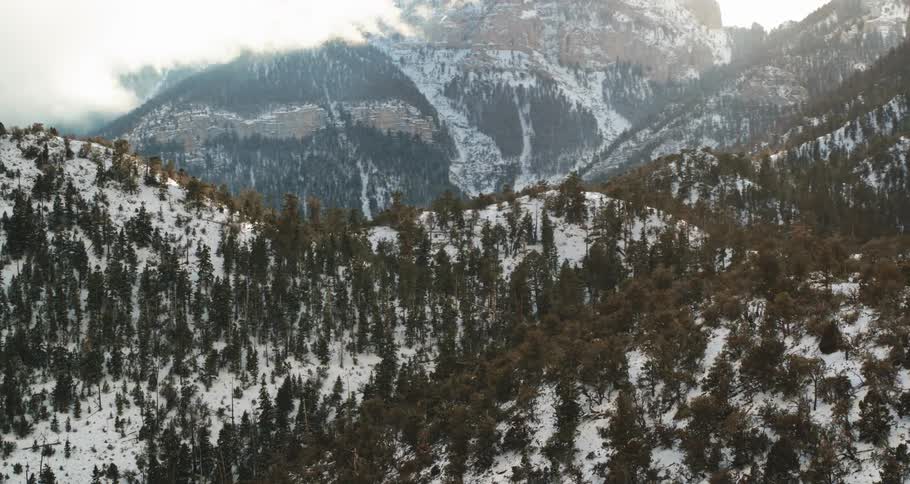 Snow covered mountains filled with pine trees under a cloudy sky