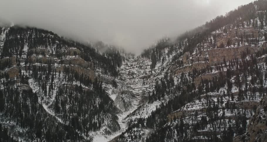 Snow covered mountains lined with pine trees under a hazy sky