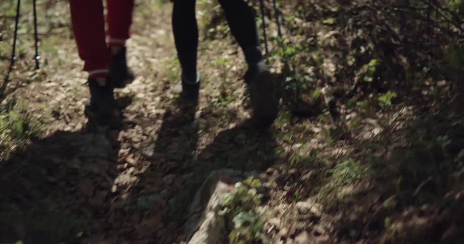 A man helps a woman up who is limping as they walk on a forest trail during the day