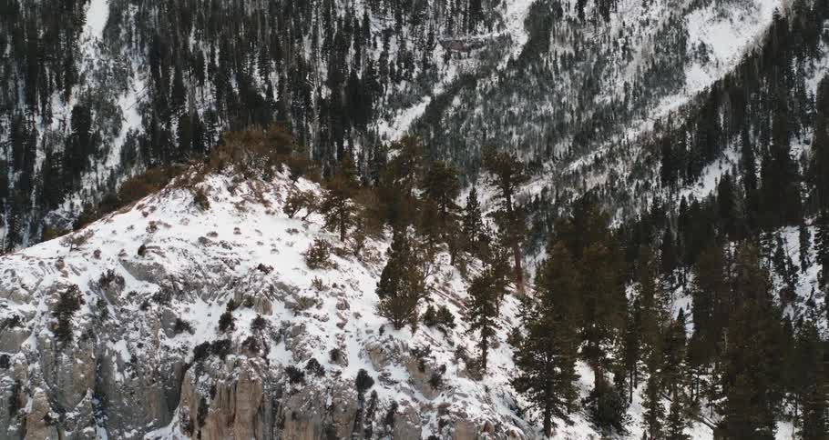 A range of mountains are covered in a light layer of snow and lined with numerous trees