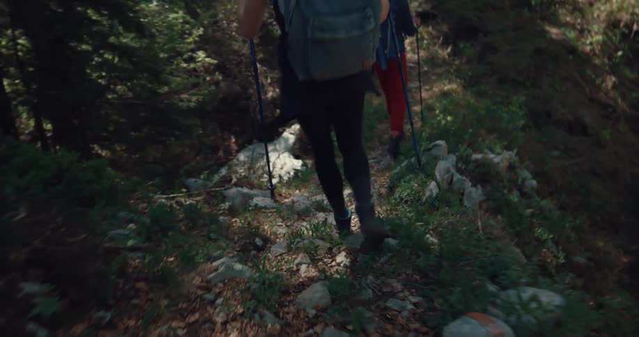 Woman walking through a trail in the forest falls and hurts her knee