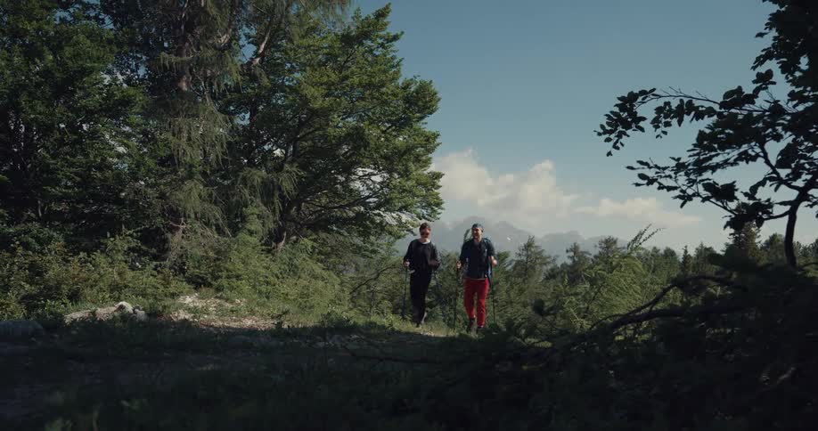 Two people are carrying walking poles and hiking into the woods