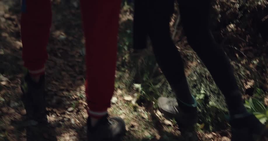 A man and a woman in a forest with backpacks with the man helping the woman with a hurt foot