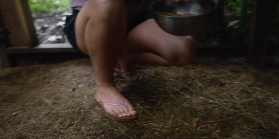 A woman feeding a chicken seeds from a bowl in a chicken coop