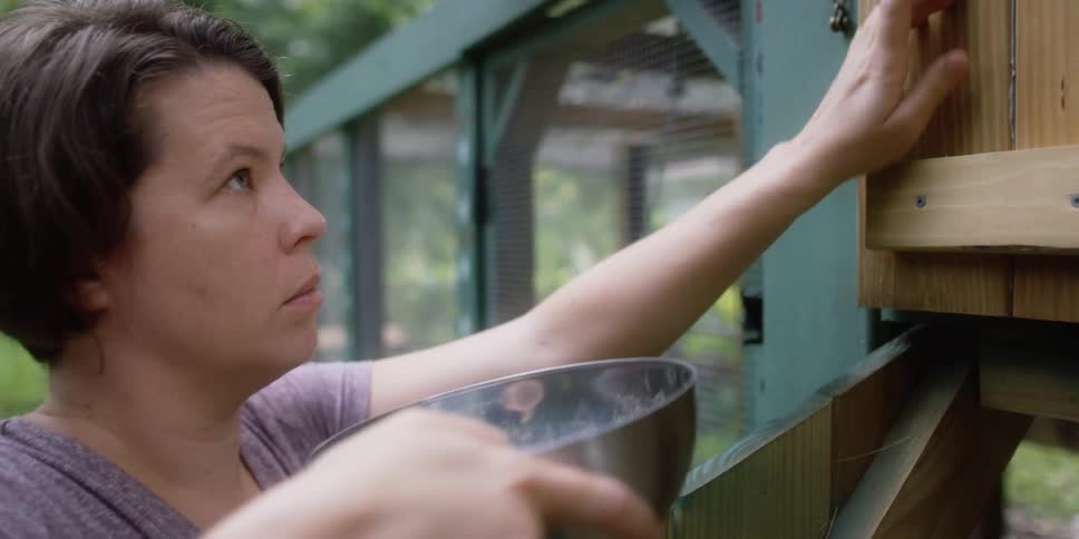 A woman gets eggs from her chicken coop and places them in a metal bowl