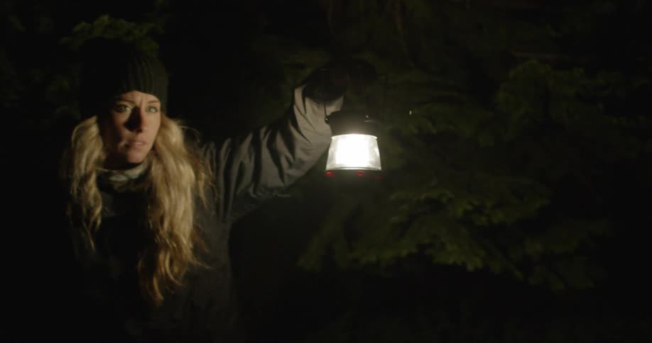 A woman holding a lantern on a cold night