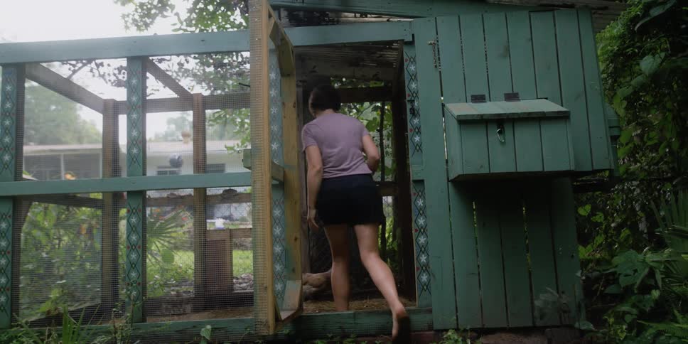 Woman wearing shorts steps into chicken house to feed chicken